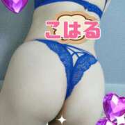 ヒメ日記 2026/04/01 09:15 投稿 こはる 奥様の実話 谷九店