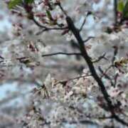 こはる 桜花賞🐴 奥様の実話 谷九店