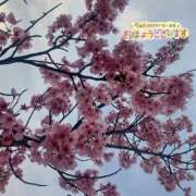 ヒメ日記 2026/03/29 16:52 投稿 はぁと 金瓶梅-きんぺいぱい-