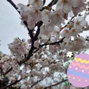 ヒメ日記 2026/04/06 09:00 投稿 はぁと 金瓶梅-きんぺいぱい-