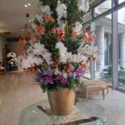 ヒメ日記 2026/04/06 08:58 投稿 まり 熟女総本店 日本橋ミナミエリア店