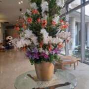 ヒメ日記 2026/04/09 14:06 投稿 まり 熟女総本店 日本橋ミナミエリア店