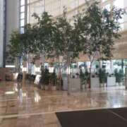 まり 雨☔ 熟女総本店 日本橋ミナミエリア店