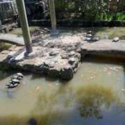 まり 💖 熟女総本店 日本橋ミナミエリア店