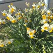 ヒメ日記 2026/03/18 17:30 投稿 りん イキなり生彼女from大宮