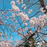 ヒメ日記 2026/03/26 10:42 投稿 かなで スピードエコ難波店