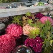 ヒメ日記 2026/03/31 13:52 投稿 かなで スピードエコ難波店