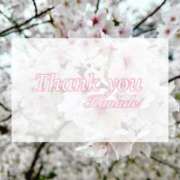 ヒメ日記 2026/04/15 16:42 投稿 かなで スピードエコ難波店