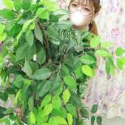 ヒメ日記 2026/04/20 06:14 投稿 あおば One More奥様　蒲田店