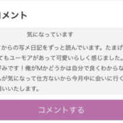 ヒメ日記 2026/03/20 23:41 投稿 けい TSUBAKI（水戸）
