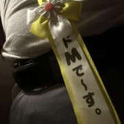 ヒメ日記 2026/03/24 02:11 投稿 けい TSUBAKI（水戸）