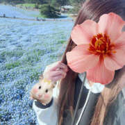 ヒメ日記 2026/04/12 15:37 投稿 けい TSUBAKI（水戸）