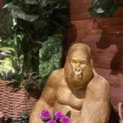 ヒメ日記 2026/04/14 09:21 投稿 佐古山 なつき 30代40代50代と遊ぶなら博多人妻専科24時