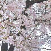 そら 🌸 まつど女学園