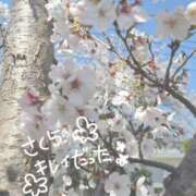 ヒメ日記 2026/04/16 12:10 投稿 そら まつど女学園