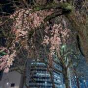 ヒメ日記 2026/03/19 18:01 投稿 さちこ 愛知弥富ちゃんこ