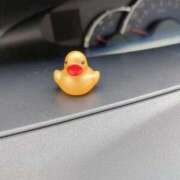 ヒメ日記 2026/04/11 01:01 投稿 さちこ 愛知弥富ちゃんこ