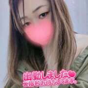 ヒメ日記 2026/04/20 10:01 投稿 さちこ 愛知弥富ちゃんこ