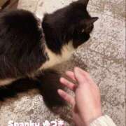 ヒメ日記 2026/03/15 21:37 投稿 ゆづき Spanky（スパンキー）