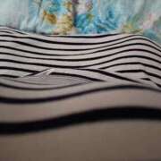 ヒメ日記 2026/02/28 06:48 投稿 シマダコ　縞蛸 女の子市場