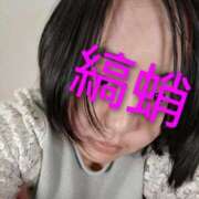 ヒメ日記 2026/03/02 10:58 投稿 シマダコ　縞蛸 女の子市場