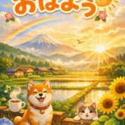 ヒメ日記 2026/04/07 11:47 投稿 あいす The White