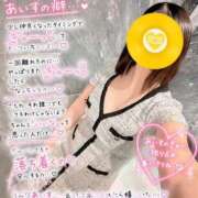 ヒメ日記 2026/04/21 22:02 投稿 あいす The White