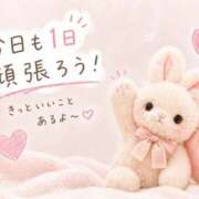 ヒメ日記 2026/04/25 08:02 投稿 あいす The White