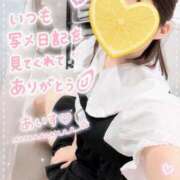 ヒメ日記 2026/05/03 12:46 投稿 あいす The White