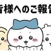 ヒメ日記 2026/02/28 15:07 投稿 ことね 天空のマット