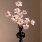 芹那-serina- 3月9日のお礼 品川エッセンス