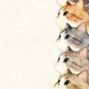 ヒメ日記 2026/03/17 11:28 投稿 芹那-serina- 品川エッセンス