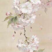 ヒメ日記 2026/04/08 10:01 投稿 芹那-serina- 品川エッセンス