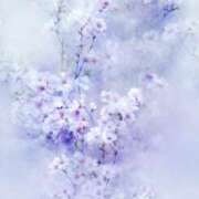 ヒメ日記 2026/04/08 15:32 投稿 芹那-serina- 品川エッセンス