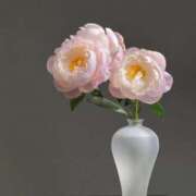 ヒメ日記 2026/04/15 12:08 投稿 芹那-serina- 品川エッセンス