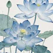 ヒメ日記 2026/04/16 15:42 投稿 芹那-serina- 品川エッセンス