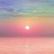 ヒメ日記 2026/04/17 09:58 投稿 芹那-serina- 品川エッセンス