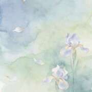 芹那-serina- 今週最後の...🦋 品川エッセンス