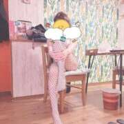 ヒメ日記 2026/04/02 09:18 投稿 ななこ 熟女の風俗最終章 沼津店