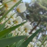 ヒメ日記 2026/03/13 10:19 投稿 りこ おクンニ学園 練馬分校