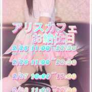 ヒメ日記 2026/02/24 20:31 投稿 なつき アリスカフェ