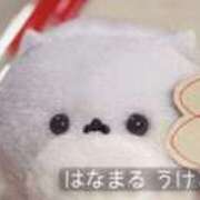 ヒメ日記 2026/03/25 11:31 投稿 唯月かえで 華椿