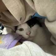 ぽよ ぽよ（奥様さくら日本橋店） 奥様さくら日本橋店