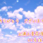 いろは お礼です🌸 モアグループ 土浦人妻花壇