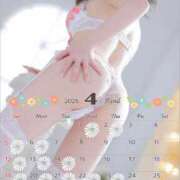 ヒメ日記 2026/03/31 15:31 投稿 双葉 パンドラ（吉原）