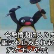 ヒメ日記 2026/06/08 15:03 投稿 えむ ドキドキＮＴＲ寝取られ生電話