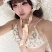 ヒメ日記 2026/04/15 17:20 投稿 みるく 黒い金魚（札幌）