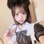 ヒメ日記 2026/04/21 23:30 投稿 みるく 黒い金魚（札幌）