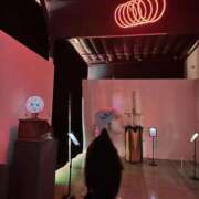 ヒメ日記 2026/02/26 15:18 投稿 さくら★容姿端麗なエリート美女 Bell～S級美女お姉様・人妻デリヘル～