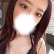 ヒメ日記 2026/04/14 14:12 投稿 さくら★容姿端麗なエリート美女 Bell～S級美女お姉様・人妻デリヘル～